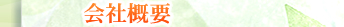 ЊTv
